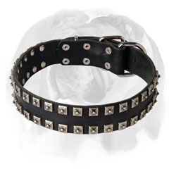 Leather English Bulldog collar for walking and training