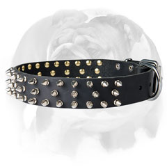Spiked pure leather dog collar for English Bulldog breed