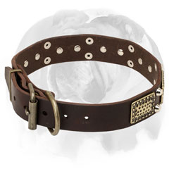 Pure leather dog collar for English Bulldog breed