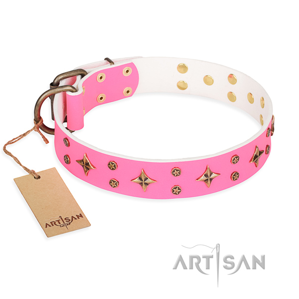 Exceptional genuine leather dog collar for stylish walking
