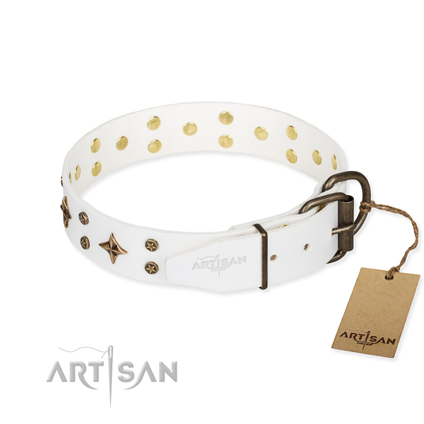 Stylish walking full grain genuine leather collar with embellishments for your pet