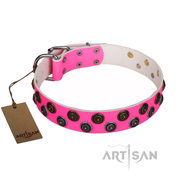 Daily use full grain genuine leather collar with studs for your pet