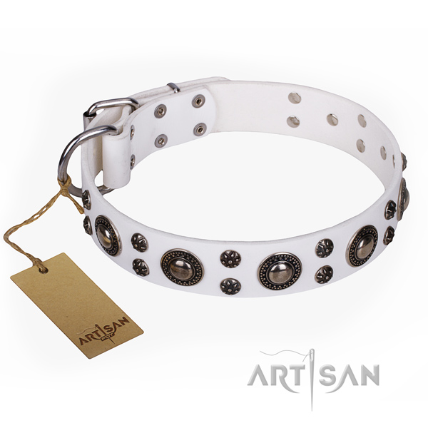 Remarkable full grain natural leather dog collar for walking