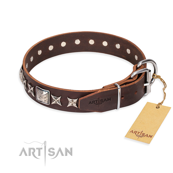 Daily walking genuine leather collar with embellishments for your four-legged friend