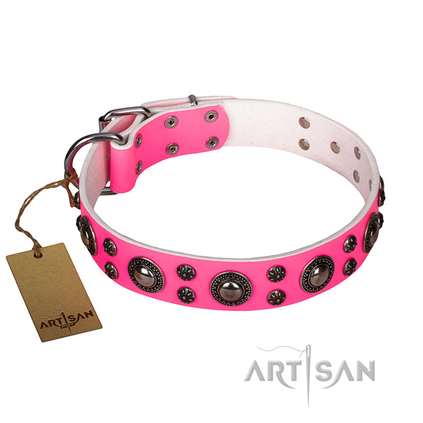 Extraordinary full grain genuine leather dog collar for daily walking