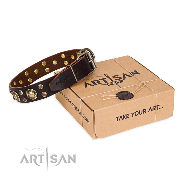 Stylish full grain genuine leather dog collar for walking in style