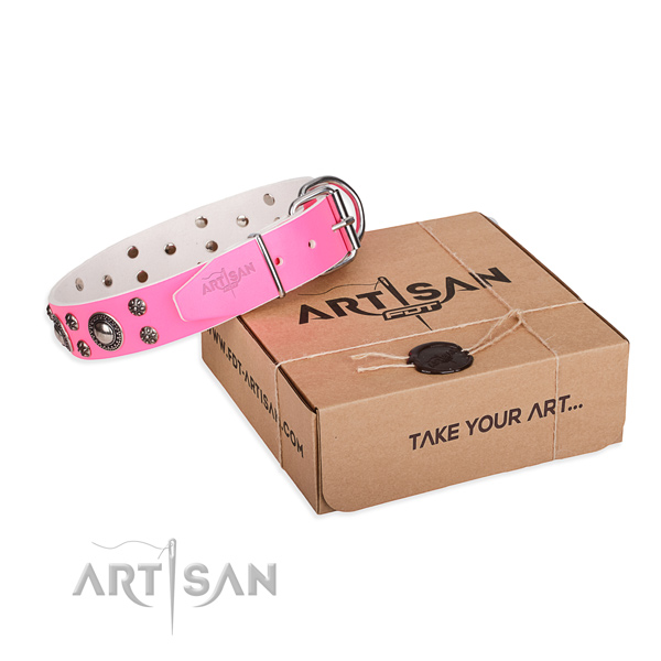 Best quality leather dog collar for everyday use