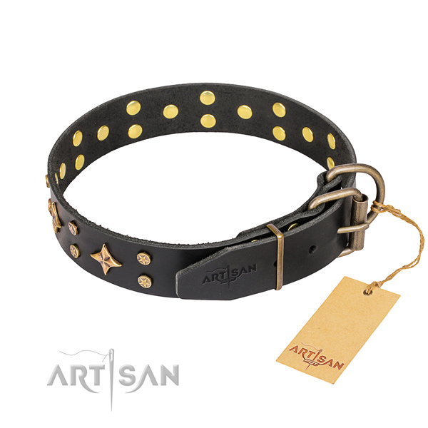 Everyday walking leather collar with decorations for your doggie