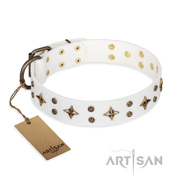 Fashionable natural genuine leather dog collar for walking