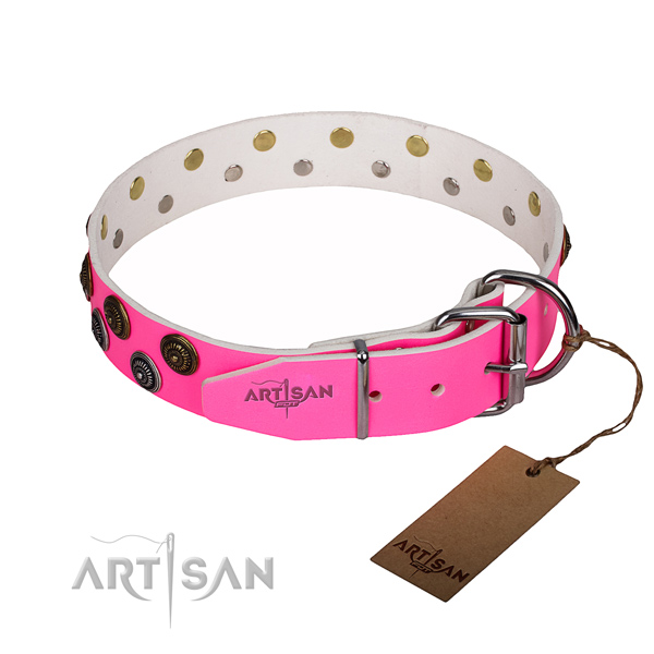 Significant full grain natural leather dog collar for daily walking