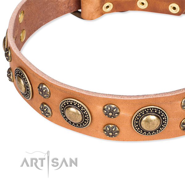 Leather dog collar with inimitable adornments