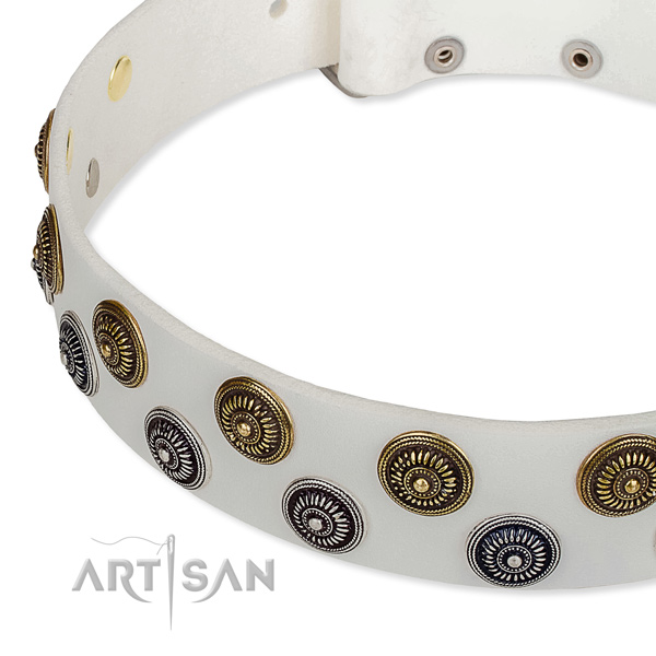 Genuine leather dog collar with exquisite studs