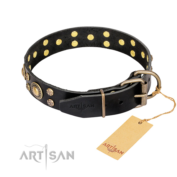 Everyday walking full grain leather collar with decorations for your doggie