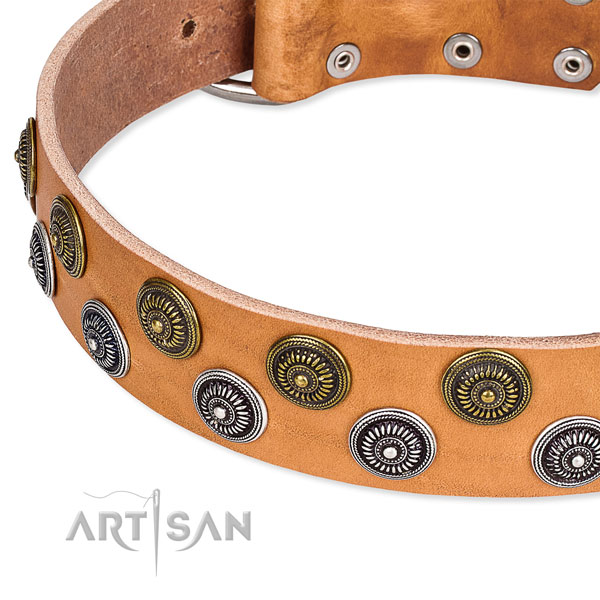 Genuine leather dog collar with unusual adornments