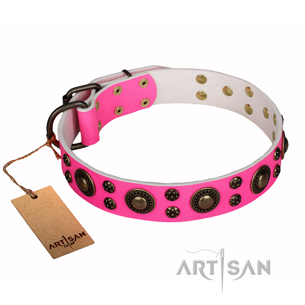 Daily use full grain natural leather collar with adornments for your four-legged friend