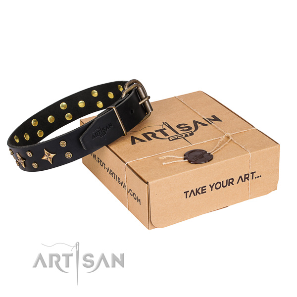 Embellished full grain natural leather dog collar for daily use