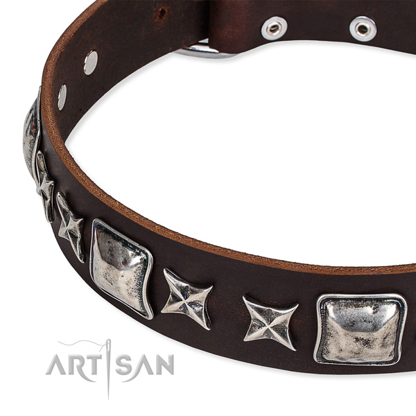 Full grain leather dog collar with studs for walking