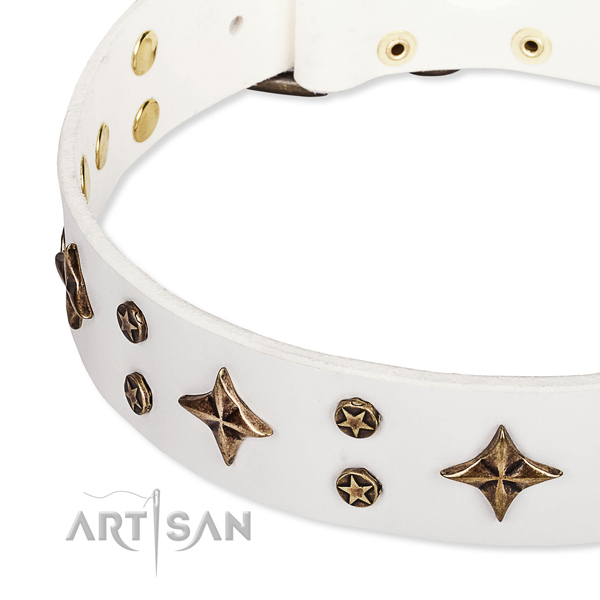 Full grain natural leather dog collar with incredible decorations