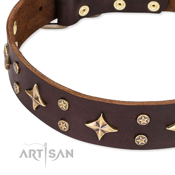 Full grain genuine leather dog collar with top notch adornments