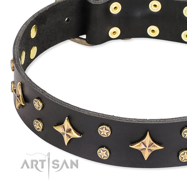 Full grain leather dog collar with exceptional embellishments