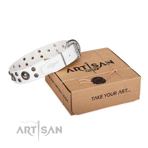 Perfect fit leather dog collar for daily walking