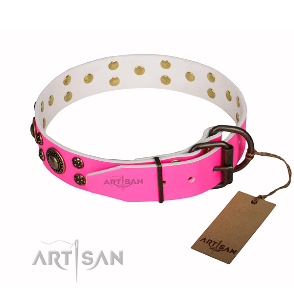 Top notch natural genuine leather dog collar for daily walking