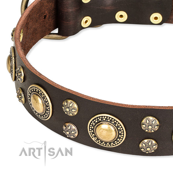 Leather dog collar with incredible embellishments