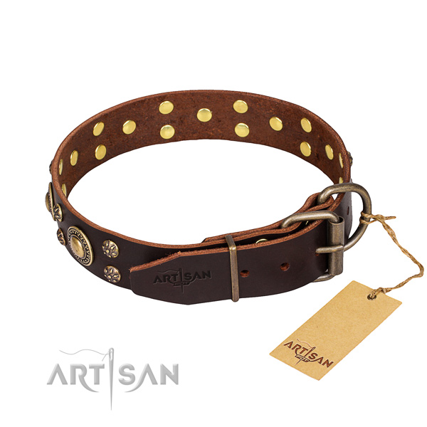 Daily use genuine leather collar with studs for your doggie