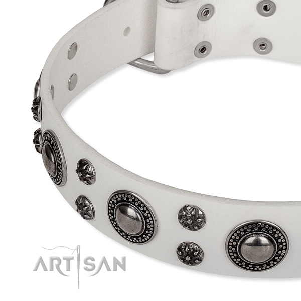 Handy use genuine leather collar with rust-proof buckle and D-ring