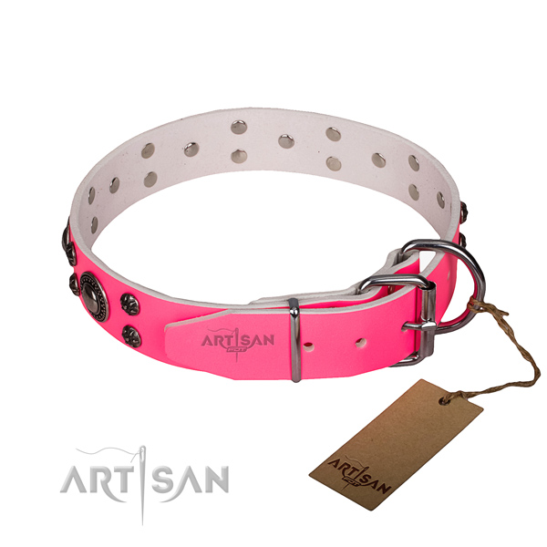 Daily walking full grain leather collar with durable buckle and D-ring