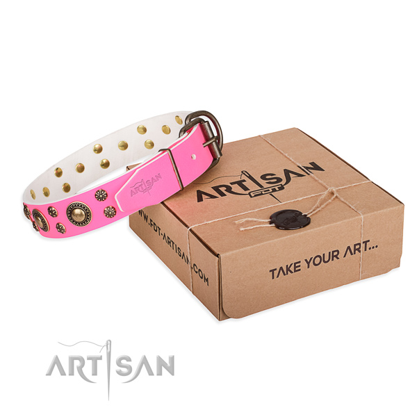 Full grain natural leather dog collar with studs for handy use