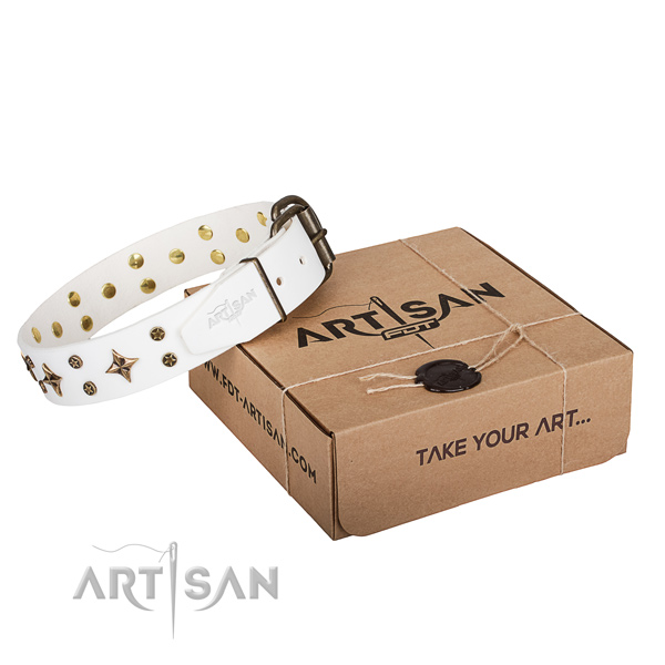 Studded genuine leather dog collar for stylish walking