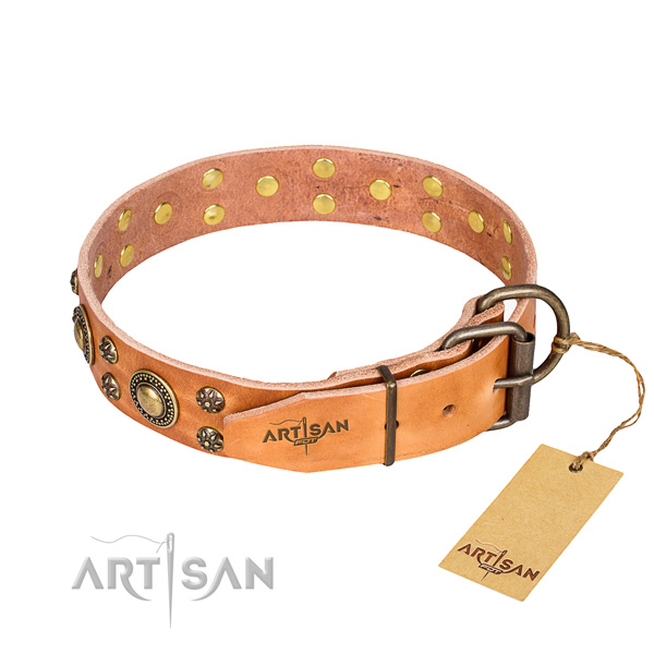 Daily use full grain genuine leather collar with studs for your canine