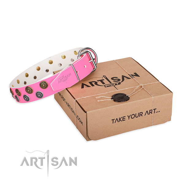 Decorated full grain leather dog collar for comfy wearing
