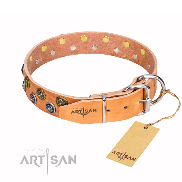 Unusual genuine leather dog collar for daily use