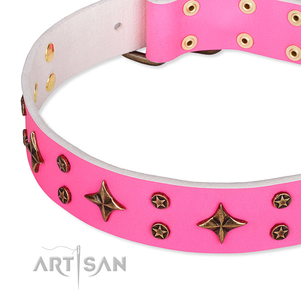 Full grain natural leather dog collar with inimitable embellishments
