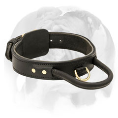 English Bulldog collar