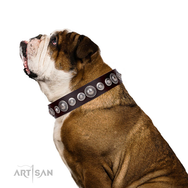 Exquisite studded natural leather dog collar for daily use