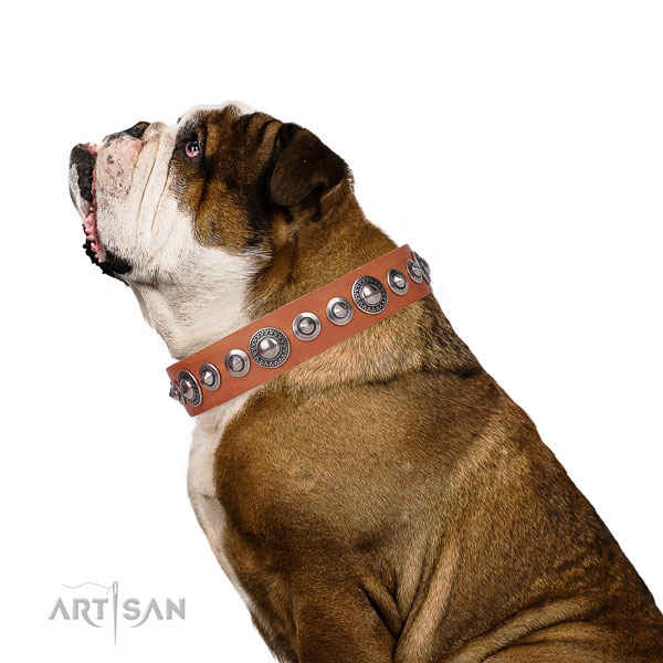 Inimitable embellished genuine leather dog collar for handy use