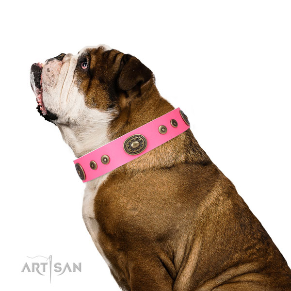 Exquisite studded genuine leather dog collar for fancy walking