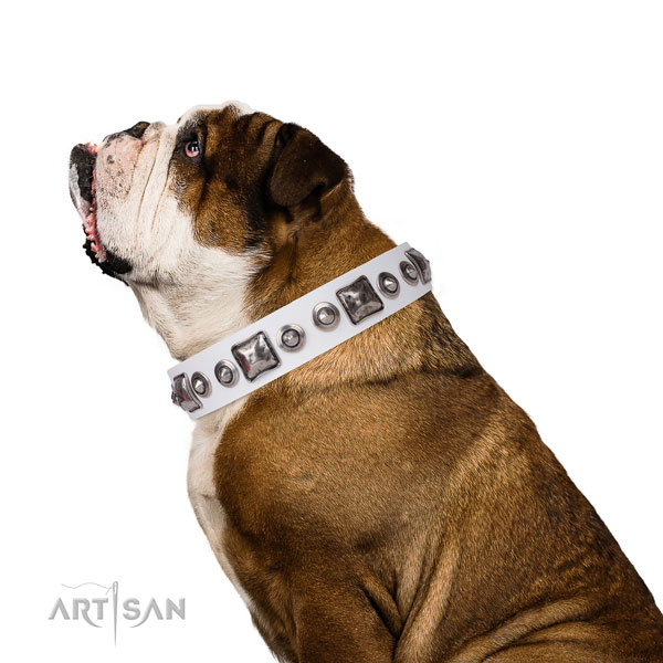Designer embellished leather dog collar for everyday use