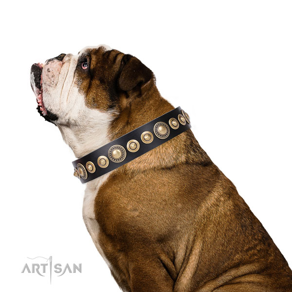 Top notch adorned genuine leather dog collar