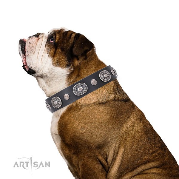 Durable buckle and D-ring on full grain leather dog collar for stylish walks