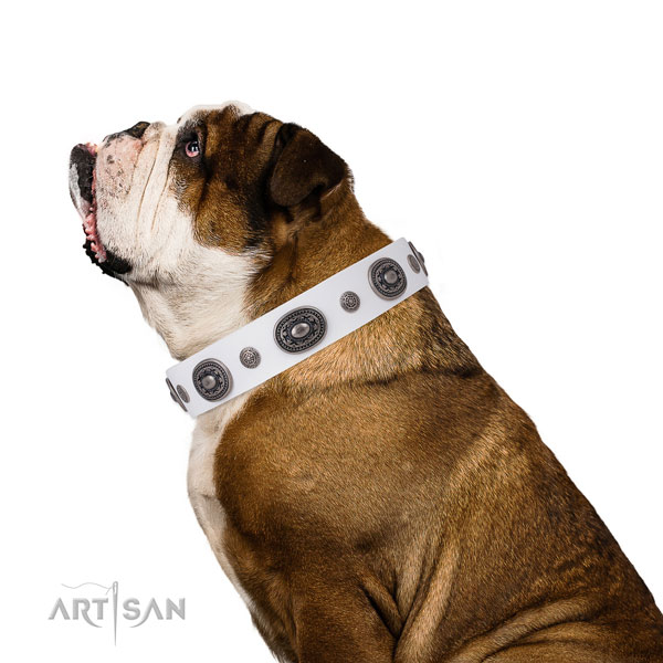 Natural leather dog collar with strong buckle and D-ring for handy use