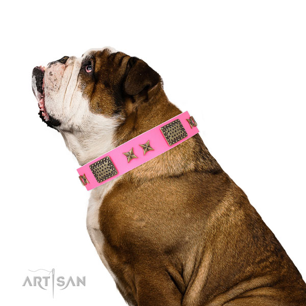 Impressive studs on daily use natural genuine leather dog collar