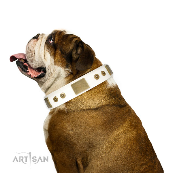 Top notch basic training dog collar of leather