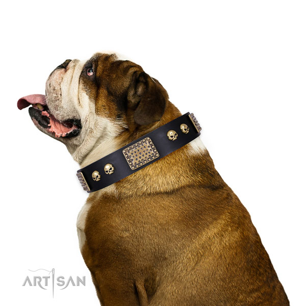 Stylish full grain leather collar for your attractive four-legged friend