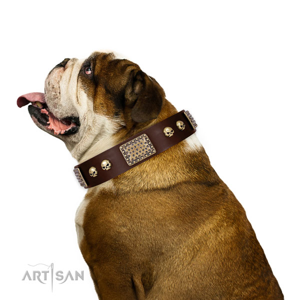 Strong D-ring on leather dog collar for stylish walking