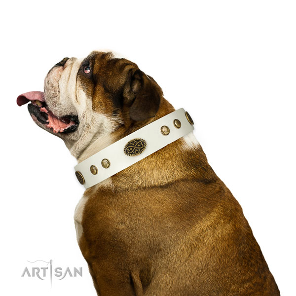 Strong hardware on natural leather dog collar for comfy wearing