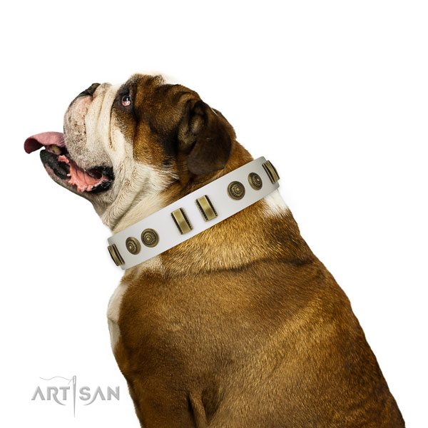 Corrosion resistant fittings on full grain genuine leather dog collar for daily use